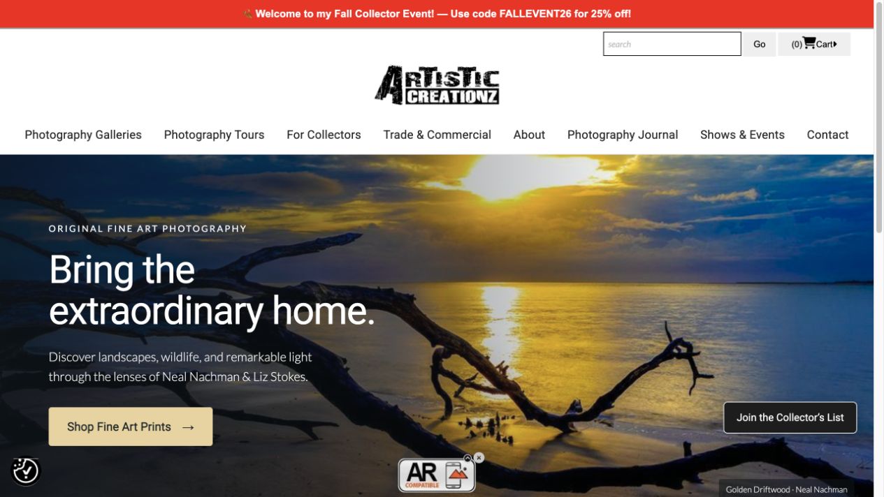 Artistic Creationz website preview
